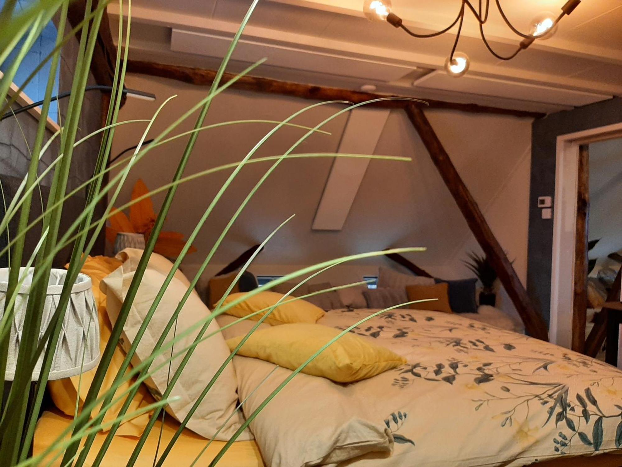 Loft De Hooizolder Met Sauna Bij Te Boeken Gees Exteriör bild